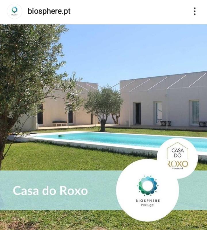Casa Do Roxo - Eco Design Country House Santa Vitória Exteriör bild